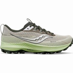 Men's Saucony Peregrine 13 GTX Running Shoes Dust / Umbra | UAE S15782-B97