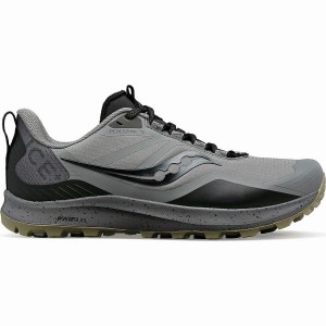 Men's Saucony Peregrine ICE+ 3 Trail Running Shoes Grey / Black | UAE S25034-H14