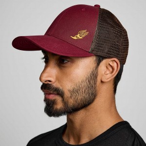 Men's Saucony Trucker Hats Red | UAE S85641-A82