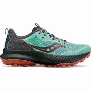 Women's Saucony Blaze TR Trail Running Shoes Green / Black | UAE S17480-N31