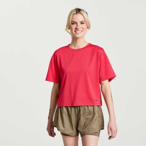 Women's Saucony Elevate Short Sleeve T Shirts Rose | UAE S78694-P21