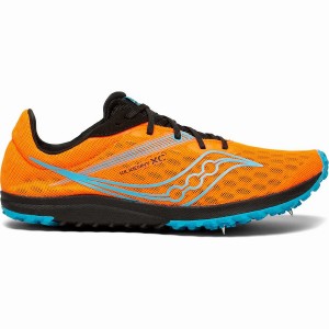 Women's Saucony Kilkenny XC9 Spike Track Spikes Blue | UAE S90521-F75