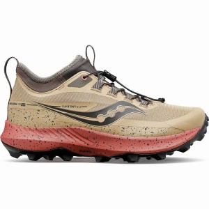 Women's Saucony Peregrine 13 ST Trail Running Shoes Brown | UAE S73650-E80