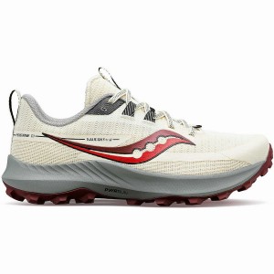 Women's Saucony Peregrine 13 Trail Running Shoes Beige | UAE S46178-Y02