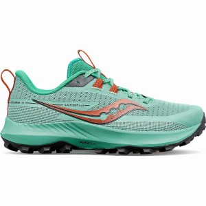 Women's Saucony Peregrine 13 Trail Running Shoes Turquoise / Orange | UAE S58604-B95