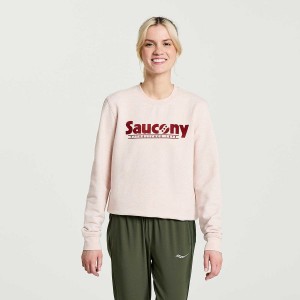 Women's Saucony Rested Crewneck Sweatshirt Rose | UAE S54327-K28