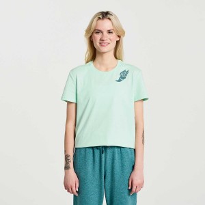 Women's Saucony Rested T Shirts Turquoise | UAE S52064-B60