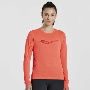 Women's Saucony Stopwatch Graphic Long Sleeve T Shirts Red | UAE S59043-F42