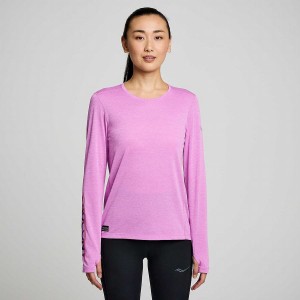 Women's Saucony Stopwatch Graphic Long Sleeve T Shirts Purple | UAE S90356-J64