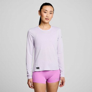 Women's Saucony Stopwatch Long Sleeve T Shirts Purple | UAE S46259-D40