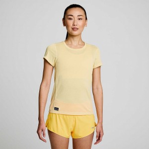 Women's Saucony Stopwatch Short Sleeve T Shirts Glow | UAE S60379-F92