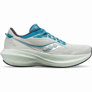 Women's Saucony Triumph 21 Running Shoes White / Blue | UAE S90362-X56