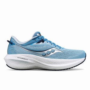 Women's Saucony Triumph 21 Running Shoes Navy | UAE S02316-A83