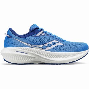 Women's Saucony Triumph 21 Running Shoes Blue | UAE S12308-S48