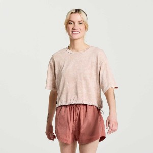 Women's Saucony Unwind Crop Short Sleeve T Shirts Rose | UAE S15384-K87