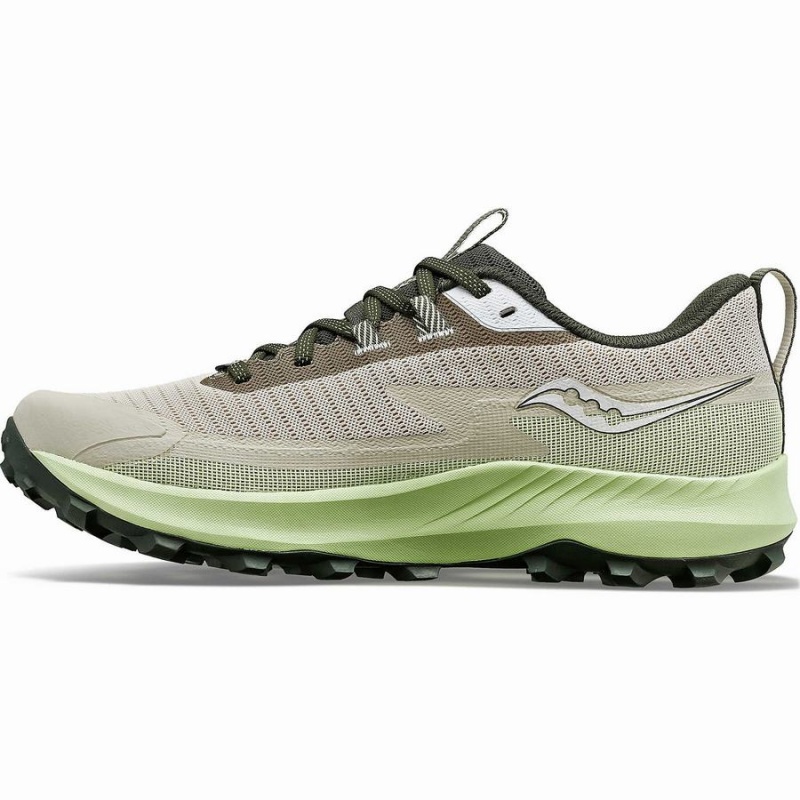 Men's Saucony Peregrine 13 GTX Running Shoes Dust / Umbra | UAE S15782-B97