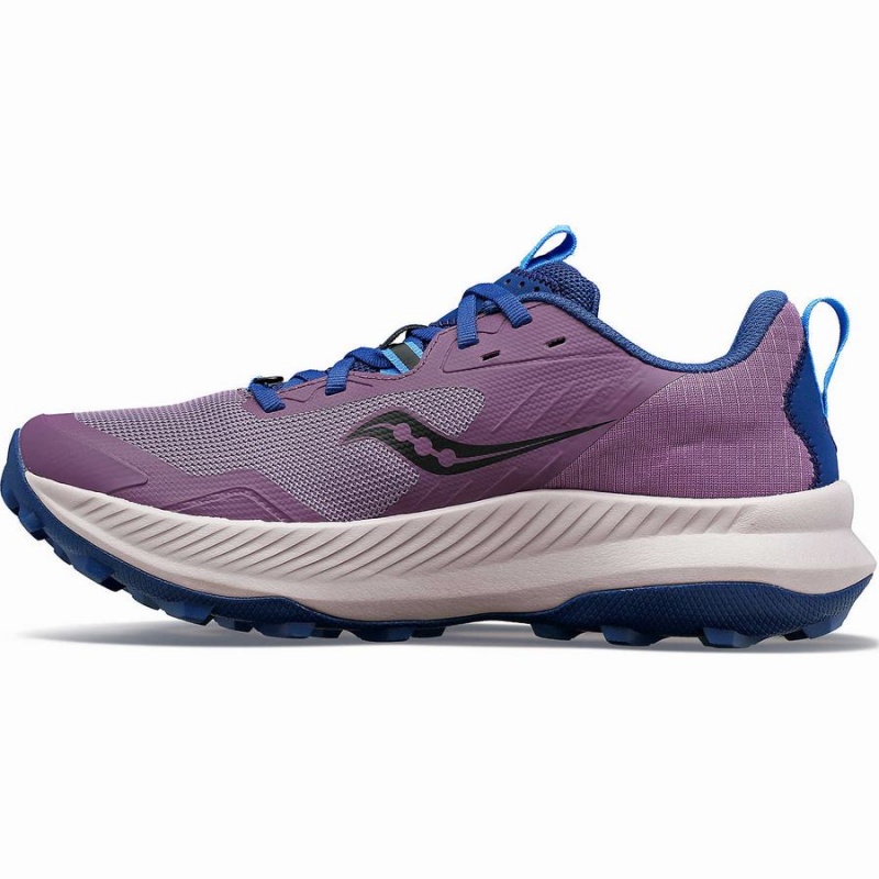 Women's Saucony Blaze TR Trail Running Shoes Purple / Indigo | UAE S80794-A21