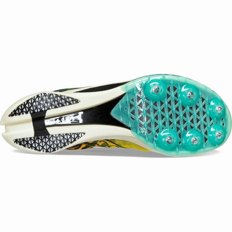 Women's Saucony Endorphin Cheetah Track Spikes Black | UAE S97521-R43