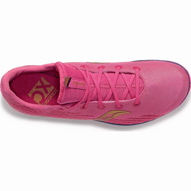 Women's Saucony Havok XC 3 Spike Track Spikes Pink / Navy | UAE S53678-X35