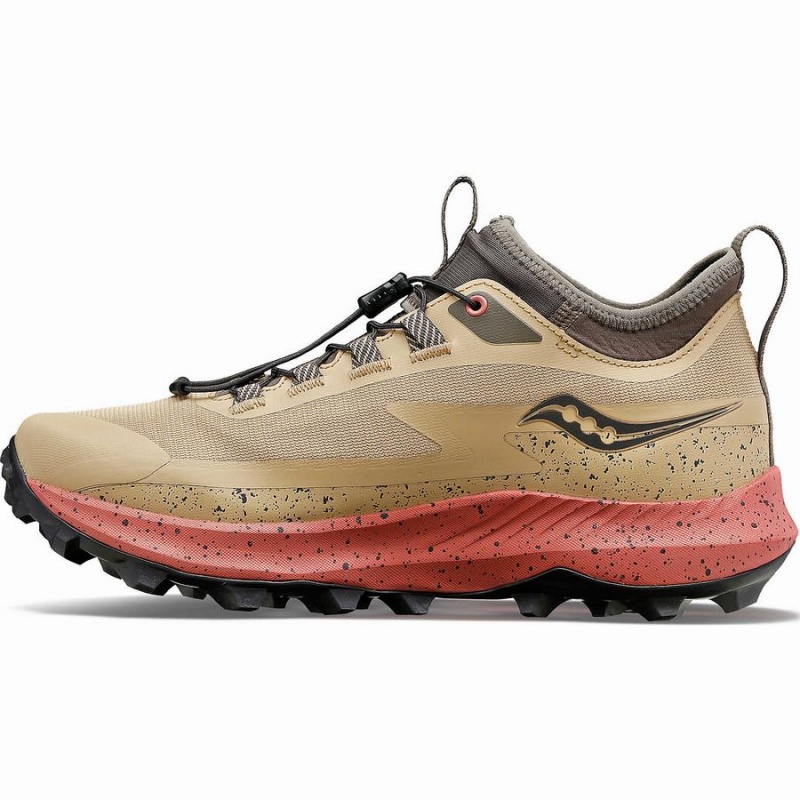 Women's Saucony Peregrine 13 ST Trail Running Shoes Brown | UAE S73650-E80