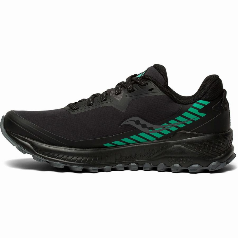 Women's Saucony Peregrine ICE+ Trail Running Shoes Black | UAE S32764-J94