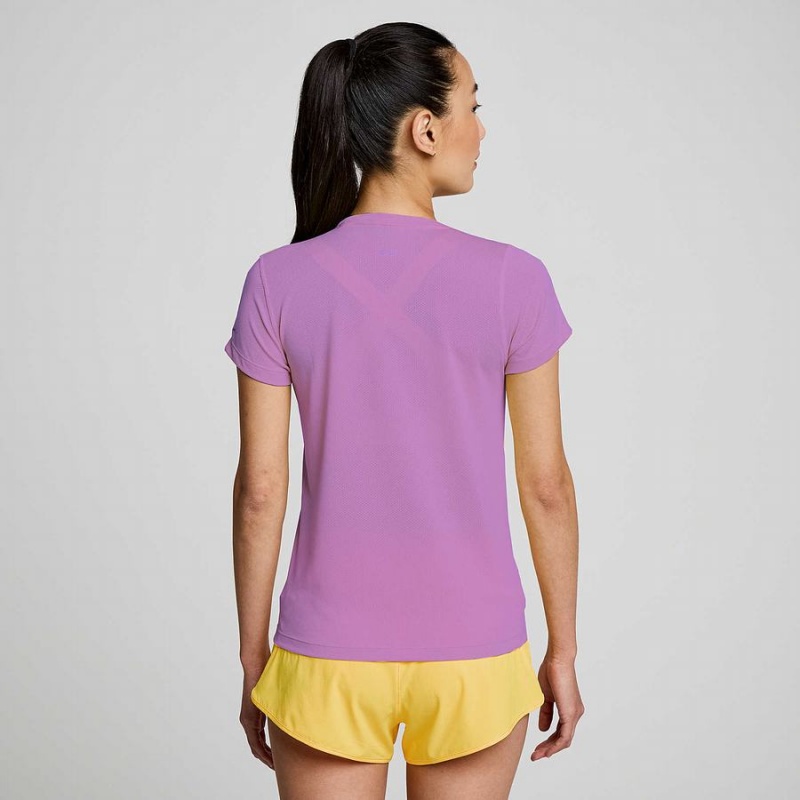 Women's Saucony Stopwatch Short Sleeve T Shirts Purple | UAE S93452-G36