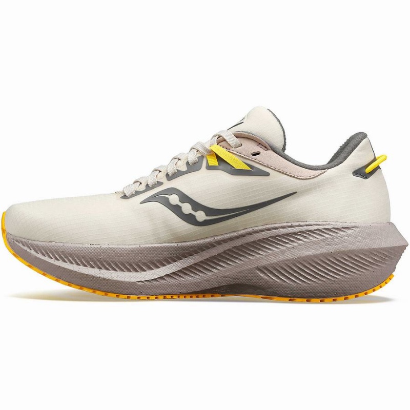 Women's Saucony Triumph 21 RUNSHIELD Running Shoes Beige | UAE S09284-V85